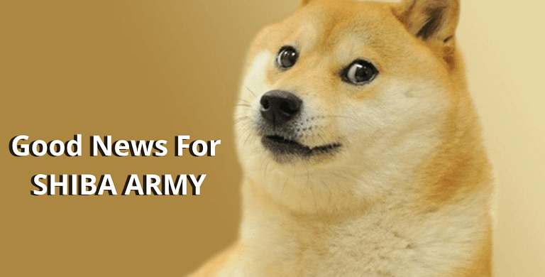 Good News for SHIBA Army