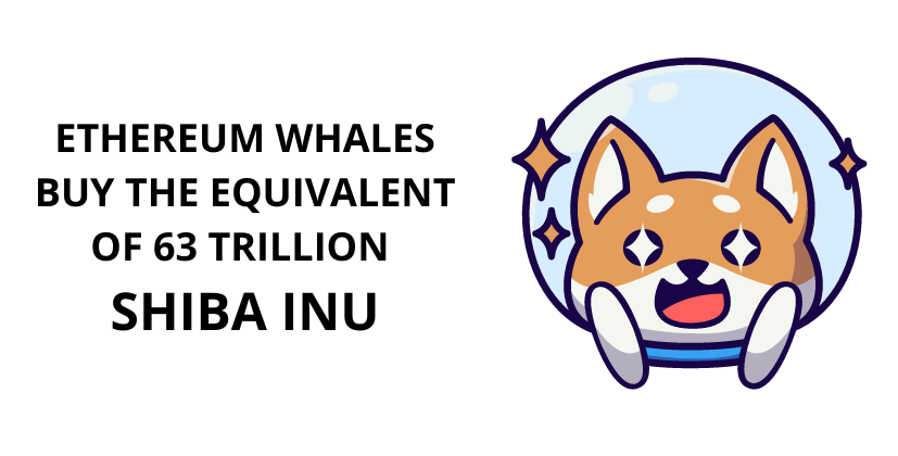 Ethereum whales buy the equivalent of 63 trillion Shiba Inu- The Coin Leaks