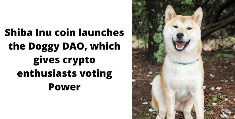 Shiba Inu coin launches the Doggy DAO, which gives crypto enthusiasts voting power- The Coin Leaks