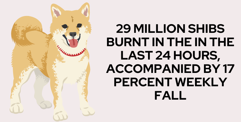 29 Million SHIBs Burnt In The in the last 24 hours, accompanied by 17 percent Weekly Fall-thecoinleaks