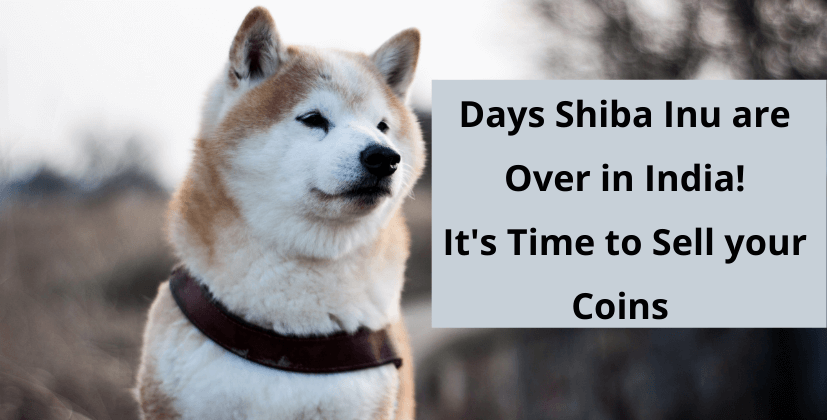 Days of Shiba Inu are over in India Its time to sell you coins- the coin leaks