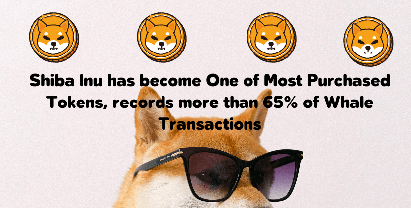 Shiba Inu has become One of Most Purchased Tokens- The Coin Leaks